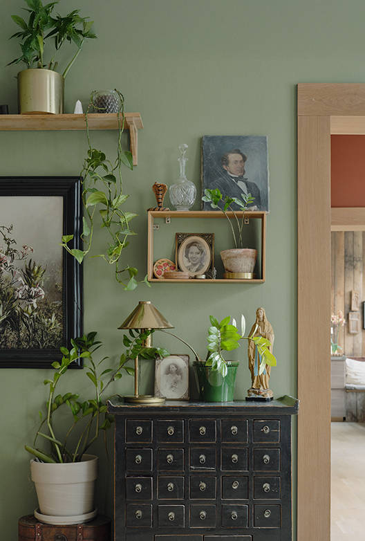Støvet grøn væg med planter, små hylder, vintageportrætter og en sort kommode med mange skuffer.
