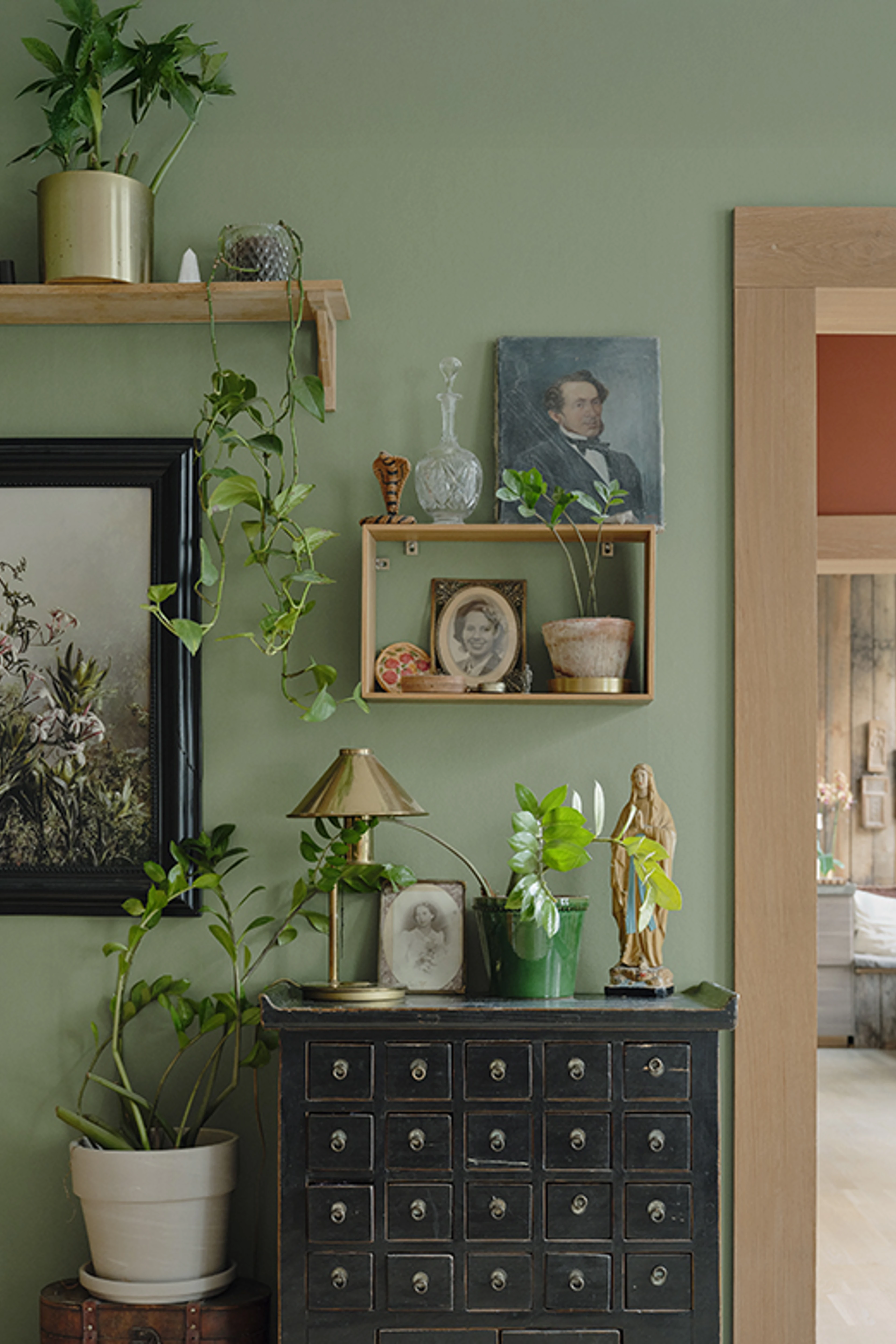 Støvet grøn væg med planter, små hylder, vintageportrætter og en sort kommode med mange skuffer.