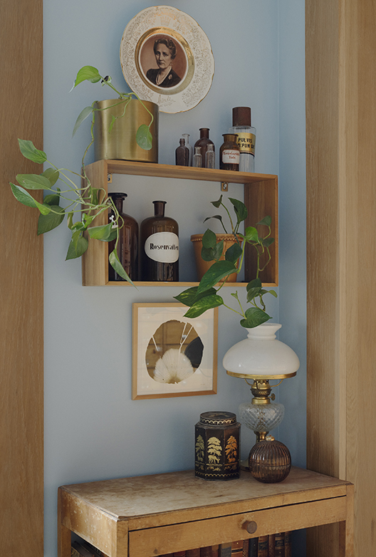 Lyseblå niche med grønne planter, gamle apotekerflasker, portræt på en tallerken og en dekorativ bordlampe.