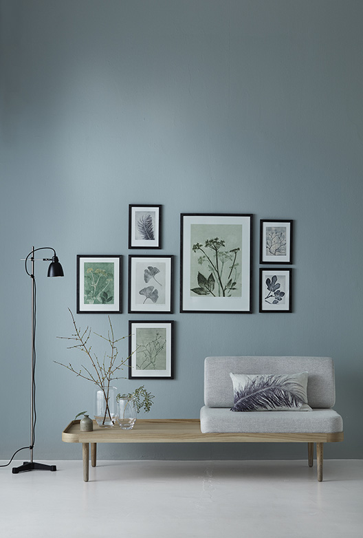 Stue med blågrå væg, lav bænk med puder, sort gulvlampe og en billedvæg med botaniske motiver i sorte rammer.
