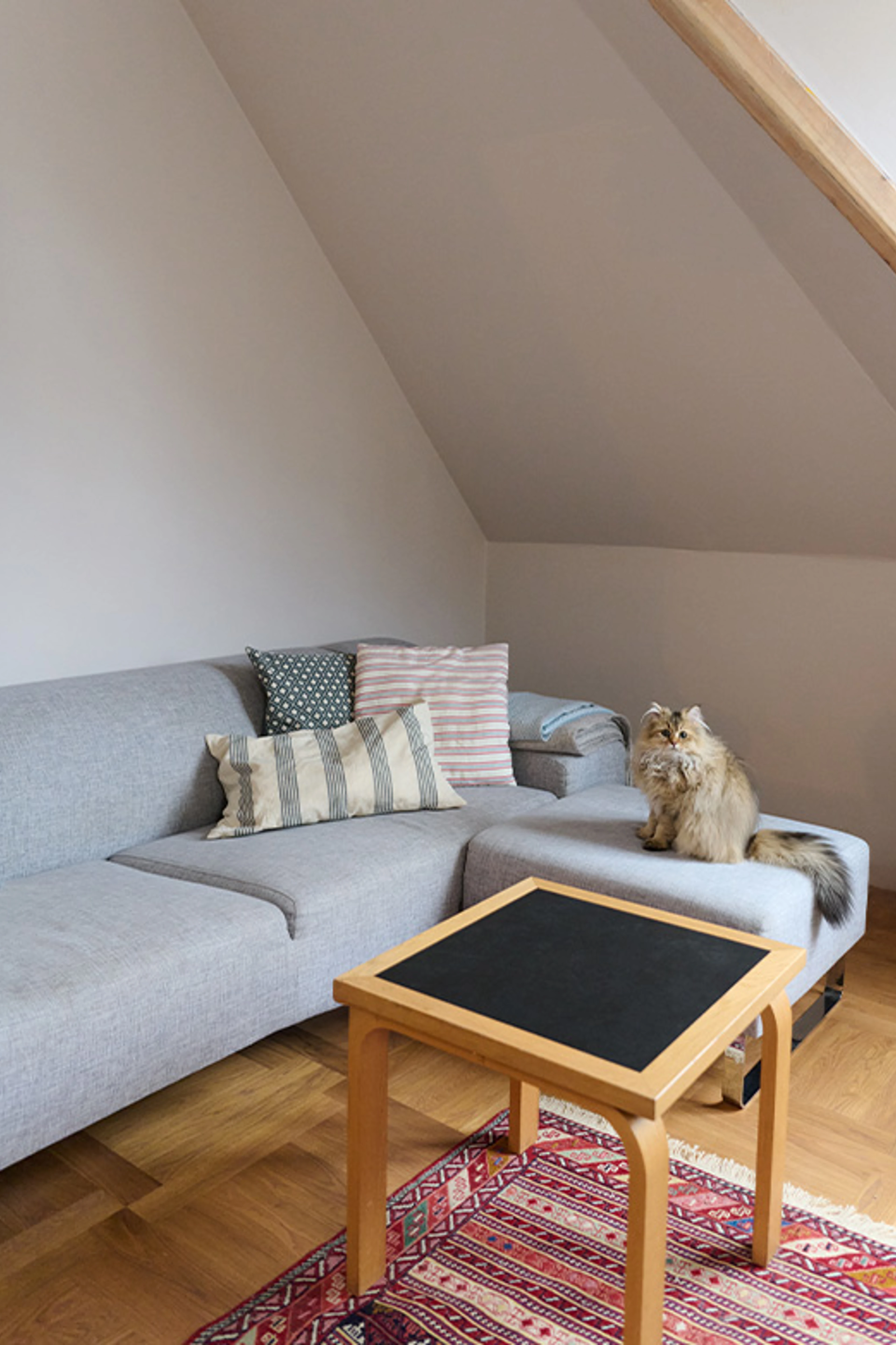 Stue med grå sofa under skråvæg, sofabord og kat siddende på chaiselongen.