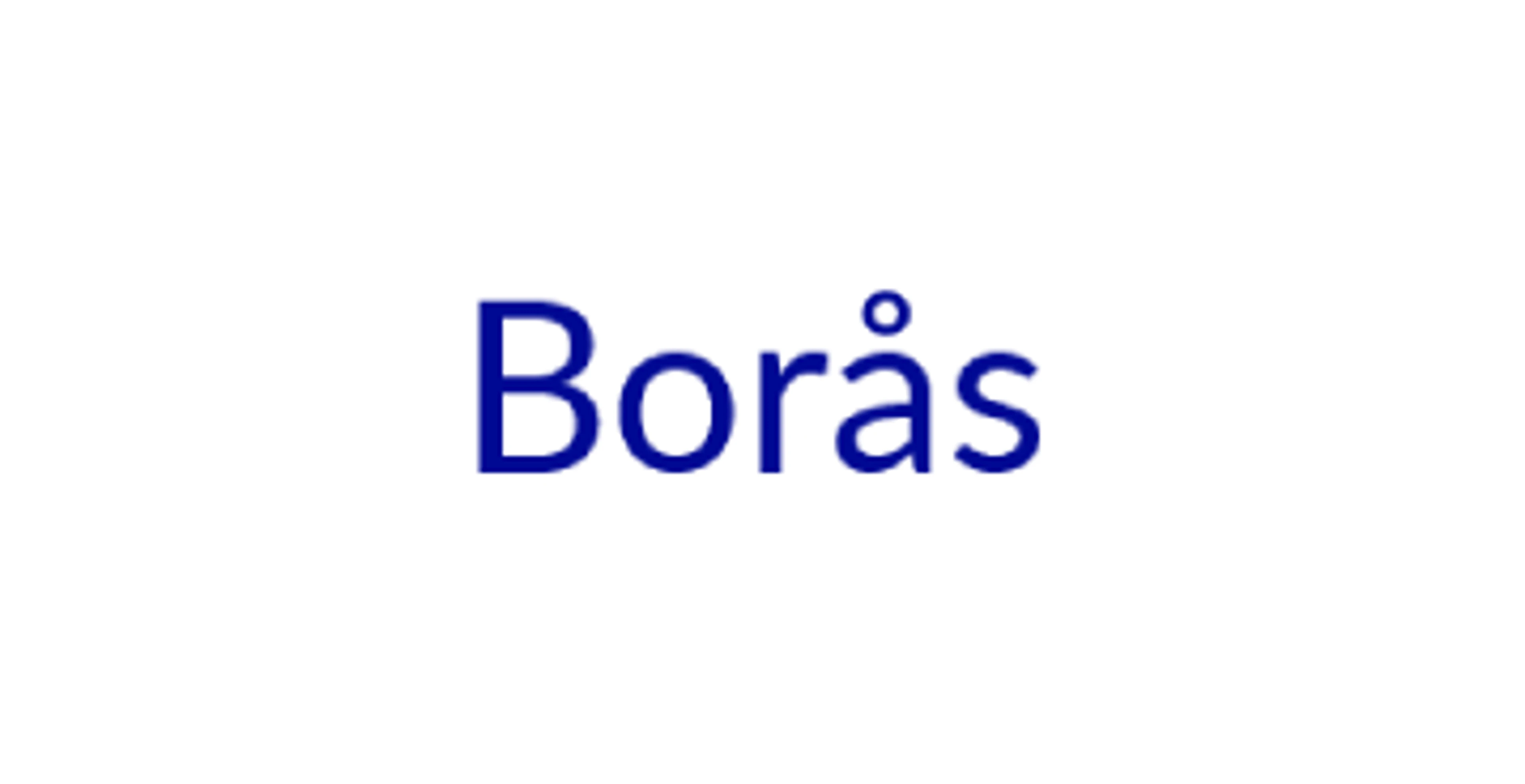 Borås stadsnamn.
