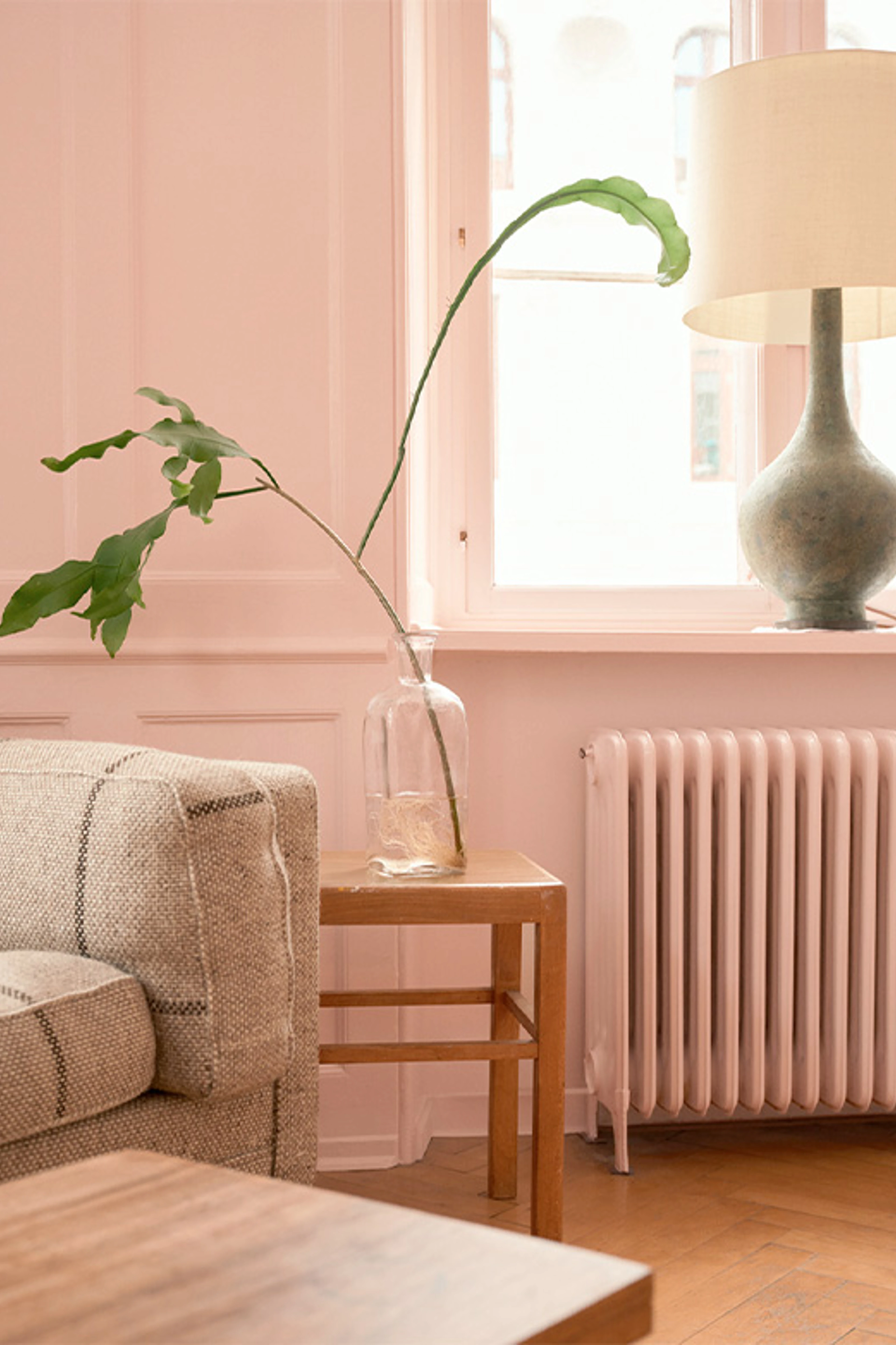 Grøn gren i vase foran rosa væg.